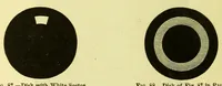 Picture 12 of 16 from Colour : a text-book of modern chromatics with applications to art and industry (1904), leaf 214