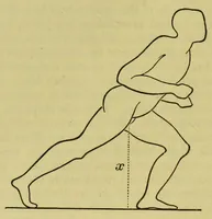 An illustration from Animal locomotion : or, walking, swimming, and flying, with a dissertation on aëronautics (1873)