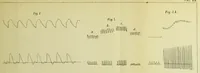 An illustration from Arbeiten aus dem Physiologischen Laboratorium der Würzburger Hochschule : III Lieferung (1876)