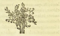 An illustration from Essai sur l'art de la teinture (1787)