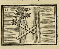 An illustration from Les petites aventures de Jérome Sharp, professeur de physique amusante. Ouvrage contenant autant de tours ingénieux que de leçons utiles, avec quelques petits portraits à la manière noire (1793)