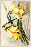 An illustration from Die umbildung der chromolithographie : photolithographischer vier-und menrfarbendruck auf stein, zink und aluminium (1913)