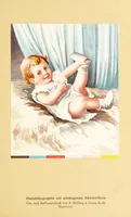 Picture 14 of 15 from Die umbildung der chromolithographie : photolithographischer vier-und menrfarbendruck auf stein, zink und aluminium (1913), leaf 221