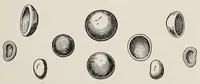 An illustration from The magic of jewels and charms (1915)