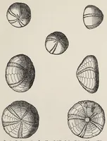 An illustration from The magic of jewels and charms (1915)
