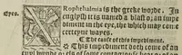 An illustration from The Breviary of Helthe, for all maner of syckenesses and diseases the whiche may be in man, or woman doth folowe (1547)