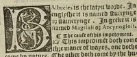 An illustration from The Breviary of Helthe, for all maner of syckenesses and diseases the whiche may be in man, or woman doth folowe (1547)