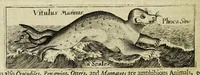 Picture 9 of 45 from Some years travels into divers parts of Africa, and Asia the Great. Describing more particularly the Empires of Persia and Industan ... As also, many ... kingdoms in the oriental India ... (1677), leaf 24