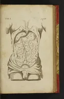 An illustration from The anatomy of human bodies epitomiz'd : wherein all the parts of man's body, with their actions and uses, are succinctly describ'd, according to the newest doctrine of the most accurate and learned modern anatomists (1688)