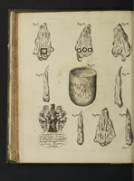 An illustration from De thermis Britannicis tractatus. Accesserunt observationes hydrostaticae, chromaticae & miscellaneae, uniuscujusque balnei apud Bathoniam naturam, proprietatem & distinctionem, curatius exhibentes (1691)