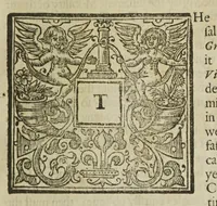 Picture 15 of 22 from Physiologia Epicuro-Gassendo-Charltoniana: or a fabrick of science natural, upon the hypothesis of atoms (1654), leaf 309