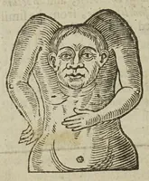 Picture 21 of 31 from Anthropometamorphosis: man transform'd; or, the artificial changeling. Historically presented, in the mad and cruel gallantry, foolish bravery, ridiculous beauty, filthy finenesse, and loathsome lovelinesse of most nations, fashioning and altering their bodies from the mould intended by nature. With a vindication of the regular beauty and honesty of nature. And an appendix of the pedigree of the English gallant (1653), leaf 340