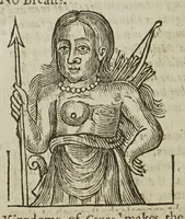 Picture 24 of 31 from Anthropometamorphosis: man transform'd; or, the artificial changeling. Historically presented, in the mad and cruel gallantry, foolish bravery, ridiculous beauty, filthy finenesse, and loathsome lovelinesse of most nations, fashioning and altering their bodies from the mould intended by nature. With a vindication of the regular beauty and honesty of nature. And an appendix of the pedigree of the English gallant (1653), leaf 382
