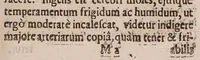 An illustration from Adenographia: sive glandularum totius corporis descriptio ... (1656)