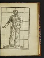 Picture 39 of 40 from The mysteries of nature and art in four severall parts. The first of water-works. The second of fier-works. The third of drawing, colouring, limming, paynting, graving, and etching. The fourth of experiments (1654), leaf 155