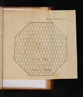 An illustration from A further discovery of bees. Treating of the nature, government, generation and preservation of the bee. With the experiments and improvements arising from the keeping them in transparent boxes, instead of straw-hives. Also proper directions (to all such as keep bees) as well to prevent their robbing in straw-hives, as their killing in the colonies (1679)