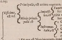 Picture 7 of 9 from Praecepta doctrinae logicae, ethicae, physicae, metaphysicae, sphaericaeque brevibus tabellis compacta: una cum quaestionibus physicae controversis (1647), leaf 144