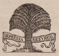 Picture 8 of 9 from Praecepta doctrinae logicae, ethicae, physicae, metaphysicae, sphaericaeque brevibus tabellis compacta: una cum quaestionibus physicae controversis (1647), leaf 159