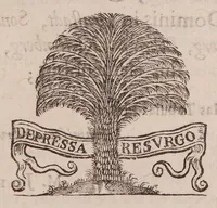 Picture 2 of 9 from Praecepta doctrinae logicae, ethicae, physicae, metaphysicae, sphaericaeque brevibus tabellis compacta: una cum quaestionibus physicae controversis (1647), leaf 67