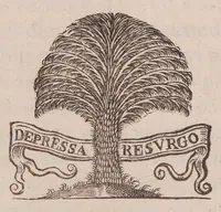 Picture 5 of 9 from Praecepta doctrinae logicae, ethicae, physicae, metaphysicae, sphaericaeque brevibus tabellis compacta: una cum quaestionibus physicae controversis (1647), leaf 91