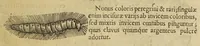 An illustration from Insectorum sive minimorum animalium theatrum (1634)