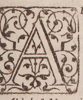 Picture 4 of 5 from Lexicon chymicum. Cum obscuriorum verborum, et rerum hermeticarum, tum phrasium Paracelsicarum, in scriptis ejus: et aliorum chymicorum, passim occurrentium, planam explicationem continens ... [Vita Paracelsi] (1652), leaf 261