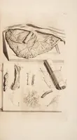 Picture 15 of 21 from The anatomy of humane bodies, with figures drawn after the life ... by some of the best masters in Europe ... and curiously engraven in one hundred and fourteen copper plates, illustrated with large explications, containing many new anatomical discoveries, and chirurgical observations. To which is added an introduction explaining the animal oeconomy. With a copious index (1698), leaf 216
