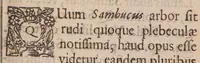 An illustration from Anatomia sambuci, quae non solùm sambucum et hujusdem medicamenta singulatim delineat, verùm quoque plurimorum affectuum, ex una ferè solâ sambuco curationes breves, rationibus, exemplis, historiis & medicamentis specificis non paucis illustratas simul exhibet (1650)