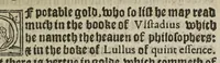 An illustration from A new booke of destillatyon of waters, called the Treasure of Euonymus, containing the wonderful hid secrets of nature, touching the most apt formes to prepare & distill medicines, for the conservation of helth: as quintessence, aurum potabile, hyppocras, aromaticall wynes, balmes, oyles, perfumes ... Whereunto are joyned the formes of sondry apt furnaces, and vessels ... (1565)