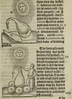 An illustration from A new booke of destillatyon of waters, called the Treasure of Euonymus, containing the wonderful hid secrets of nature, touching the most apt formes to prepare & distill medicines, for the conservation of helth: as quintessence, aurum potabile, hyppocras, aromaticall wynes, balmes, oyles, perfumes ... Whereunto are joyned the formes of sondry apt furnaces, and vessels ... (1565)