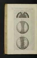 An illustration from The theory of the earth : containing an account of the original of the earth, and of all the general changes which it hath already undergone, or is to undergo till the consummation of all things. The two first books concerning the deluge, and concerning paradise (1697)
