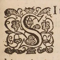 An illustration from Dissertatio epistolaris ad spectatissimum doctissimumq virum Gulielmum Cole, M.D. de observationibus nuperis circa curationem variolarum confluentium nec non de affectione hysterica (1682)