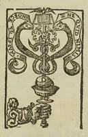 An illustration from The remaining medical works of that famous and renowned physician Dr Thomas Willis ... : With large alphabetical tables for the whole, and an index for the explaining all the hard and unusual words and terms of art, derived from the Latine, Greek, or other languages, for the benefit of the meer English reader, and meanest capacity. With eighteen copper plates (1681)