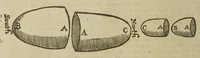 An illustration from Mosaicall philosophy: grounded upon the essentiall truth or eternal sapience (1659)