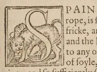 An illustration from The manners, lawes, and customes of all nations (1611)
