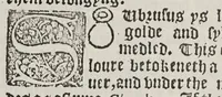 Picture 1 of 2 from Here begynneth the seynge of urynes and of all the coloures that urynes be of, wyth the medicynes annexed to every uryne, and every uryne his urynall muche profytable for every man to knowe (1562), leaf 19
