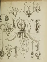 An illustration from Opera posthuma, in quibus excellentissimi authoris vita continetur, ac pleraque quae ab ipso priùs scripta aut inventa sunt confirmantur, & ab adversariorum objectionibus vindicantur. Quibus praefixa est ejusdem vita a seipso scripta (1700)