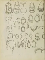 An illustration from Opera posthuma, in quibus excellentissimi authoris vita continetur, ac pleraque quae ab ipso priùs scripta aut inventa sunt confirmantur, & ab adversariorum objectionibus vindicantur. Quibus praefixa est ejusdem vita a seipso scripta (1700)