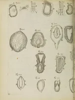 An illustration from Opera posthuma, in quibus excellentissimi authoris vita continetur, ac pleraque quae ab ipso priùs scripta aut inventa sunt confirmantur, & ab adversariorum objectionibus vindicantur. Quibus praefixa est ejusdem vita a seipso scripta (1700)