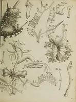 An illustration from Opera posthuma, in quibus excellentissimi authoris vita continetur, ac pleraque quae ab ipso priùs scripta aut inventa sunt confirmantur, & ab adversariorum objectionibus vindicantur. Quibus praefixa est ejusdem vita a seipso scripta (1700)