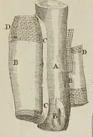 Picture 2 of 24 from Opera posthuma, in quibus excellentissimi authoris vita continetur, ac pleraque quae ab ipso priùs scripta aut inventa sunt confirmantur, & ab adversariorum objectionibus vindicantur. Quibus praefixa est ejusdem vita a seipso scripta (1700), leaf 48