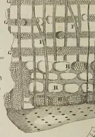 An illustration from Opera posthuma, in quibus excellentissimi authoris vita continetur, ac pleraque quae ab ipso priùs scripta aut inventa sunt confirmantur, & ab adversariorum objectionibus vindicantur. Quibus praefixa est ejusdem vita a seipso scripta (1700)