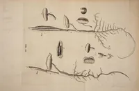 An illustration from Opera posthuma, in quibus excellentissimi authoris vita continetur, ac pleraque quae ab ipso priùs scripta aut inventa sunt confirmantur, & ab adversariorum objectionibus vindicantur. Quibus praefixa est ejusdem vita a seipso scripta (1700)