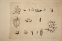 An illustration from Opera posthuma, in quibus excellentissimi authoris vita continetur, ac pleraque quae ab ipso priùs scripta aut inventa sunt confirmantur, & ab adversariorum objectionibus vindicantur. Quibus praefixa est ejusdem vita a seipso scripta (1700)