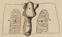An illustration from Opera posthuma, in quibus excellentissimi authoris vita continetur, ac pleraque quae ab ipso priùs scripta aut inventa sunt confirmantur, & ab adversariorum objectionibus vindicantur. Quibus praefixa est ejusdem vita a seipso scripta (1700)