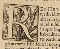 An illustration from Josephi Pitton Tournefort Institutiones rei herbariae (1700)