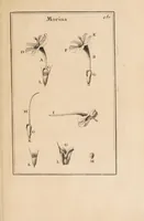 Picture 31 of 31 from Josephi Pitton Tournefort Institutiones rei herbariae (1700), leaf 455