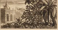 An illustration from Josephi Pitton Tournefort Institutiones rei herbariae (1700)