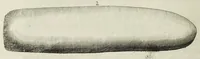 An illustration from The natural history of Lancashire, Cheshire, and the Peak, in Derbyshire: with an account of the British, Phoenician, Armenian, Gr[eek] and Rom[an] antiquities in those parts (1700)