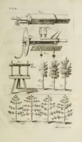 An illustration from The natural history of Lancashire, Cheshire, and the Peak, in Derbyshire: with an account of the British, Phoenician, Armenian, Gr[eek] and Rom[an] antiquities in those parts (1700)
